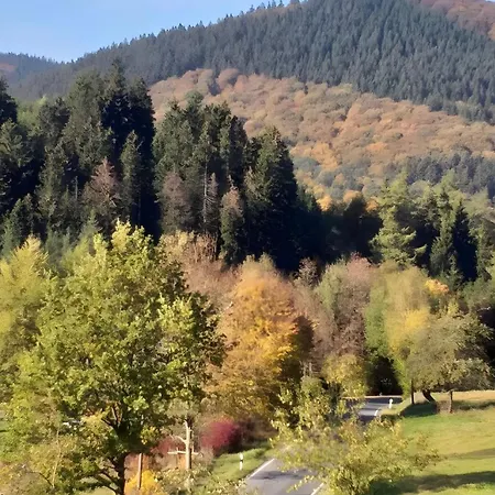 Apartment Jagdschloss Bg 6 Personen Winterberg